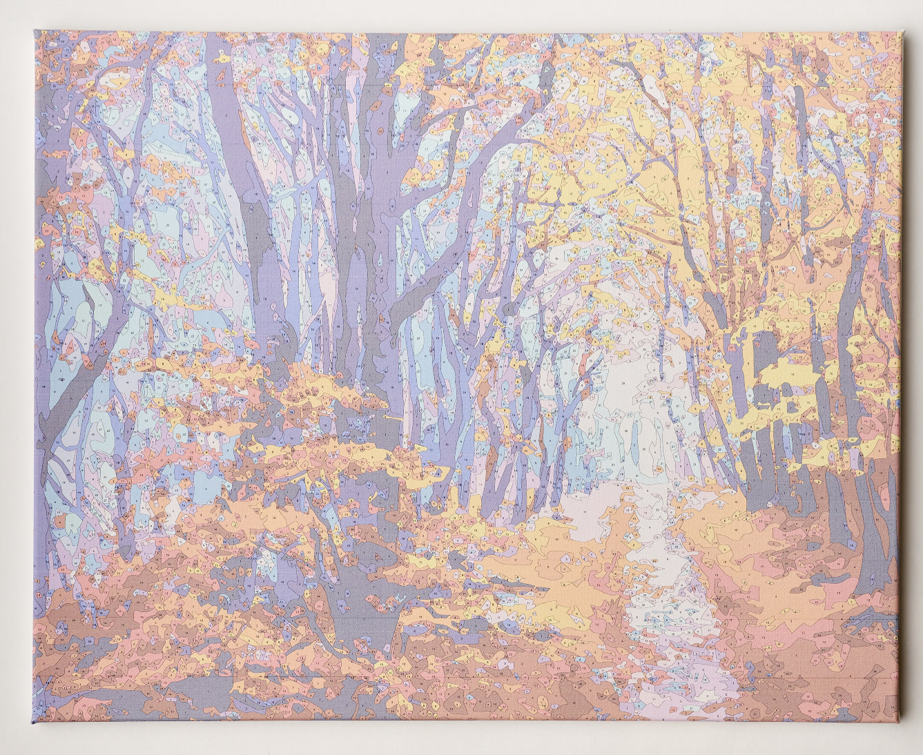 Painting by numbers - MG2414e - Autumn Forest Path Image 6