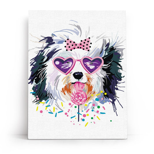 Me1116e - stilvoller Yorkie