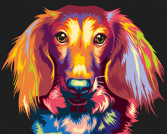 Painting by numbers - ME1143e - Through the eyes of a dachshund Image 1