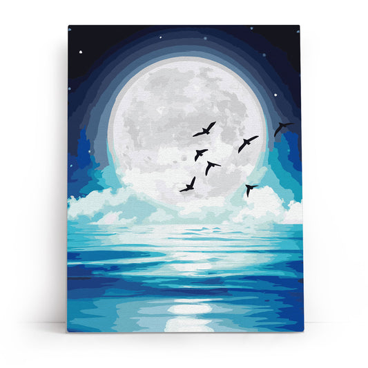 Me1147e - im Mondlicht