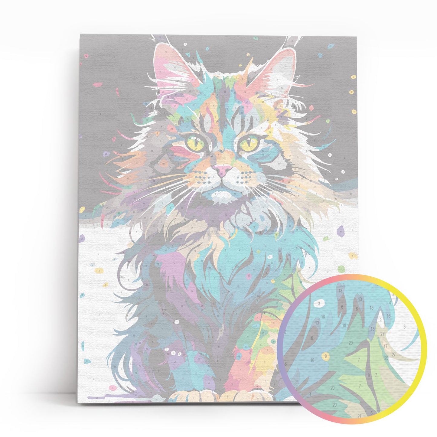 ME1169e - Bright Maine Coon