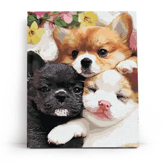 MG2498e - Fluffy Little Faces