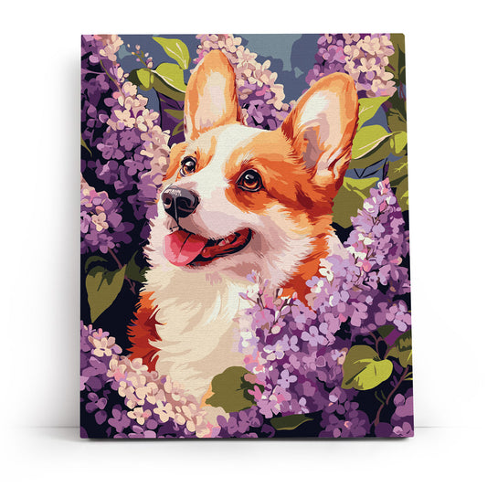 MG2507e - Springtime Corgi