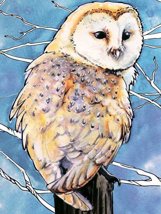 Diamond painting - LE120e - Barn Owl Image 1