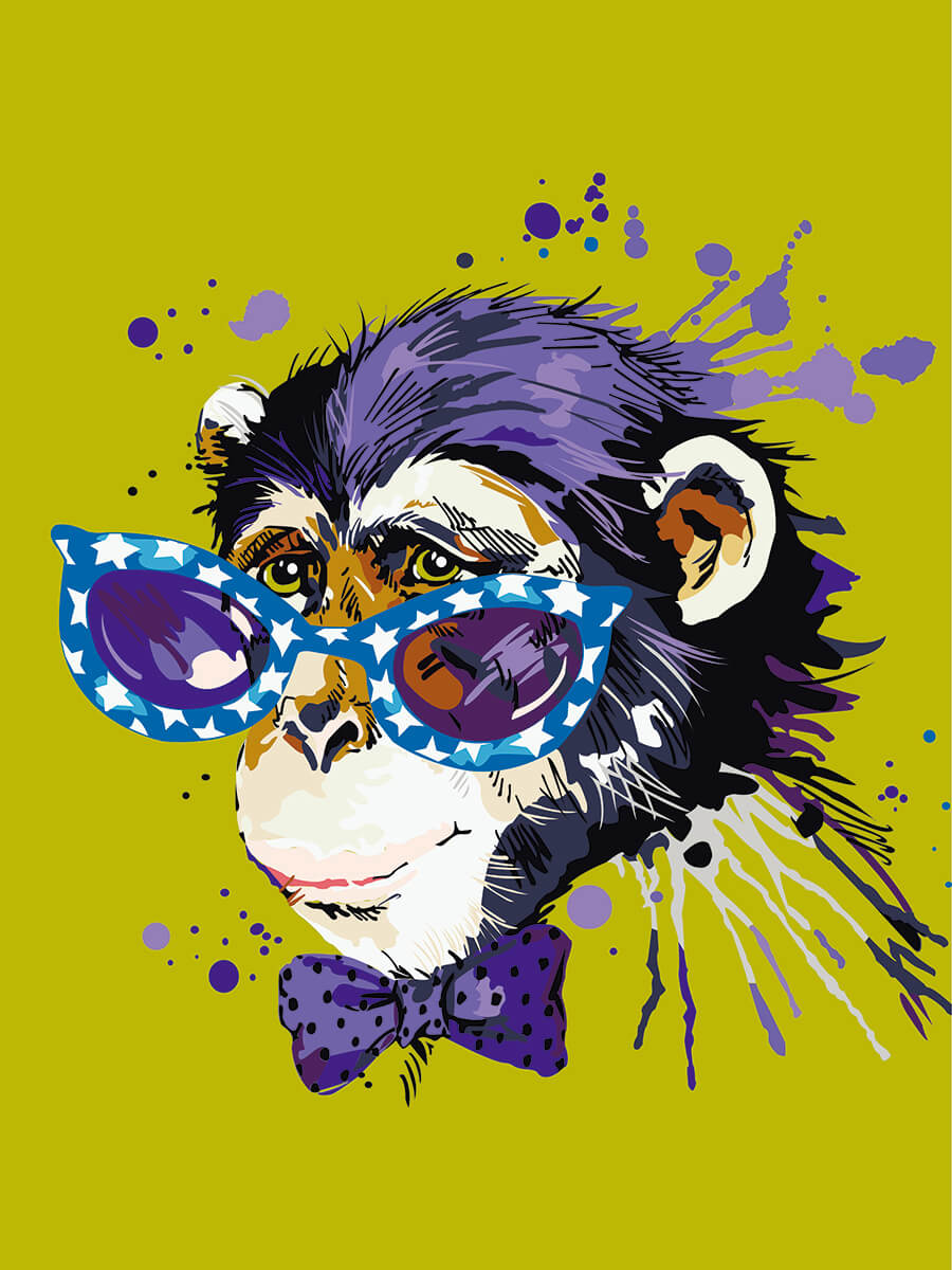 Painting by numbers - ME1119e - Stylish Monkey Image 1