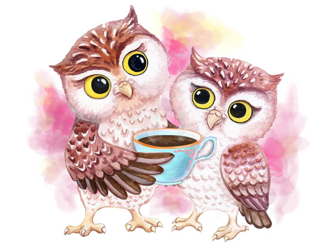 Painting by numbers - ME1125e - Cute Owls Image 1