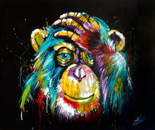 Painting by numbers - MG2033e - Rainbow Monkey Image 1