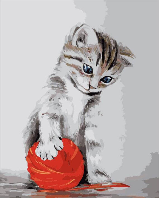 Painting by numbers - MG2075e - Kitten with a red clew Image 1